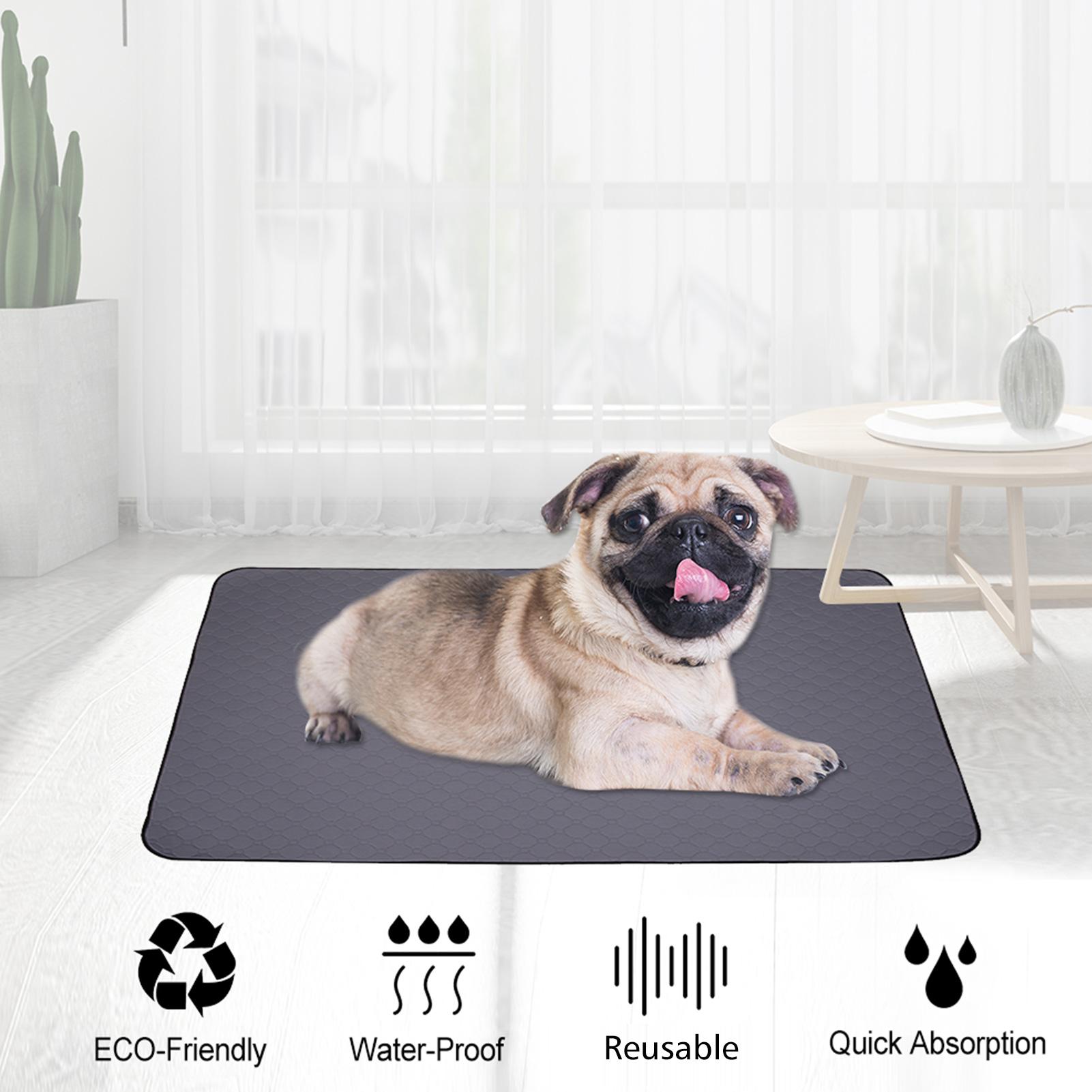 Miếng lót vệ sinh cho chó có thể giặt được, không trơn trượt