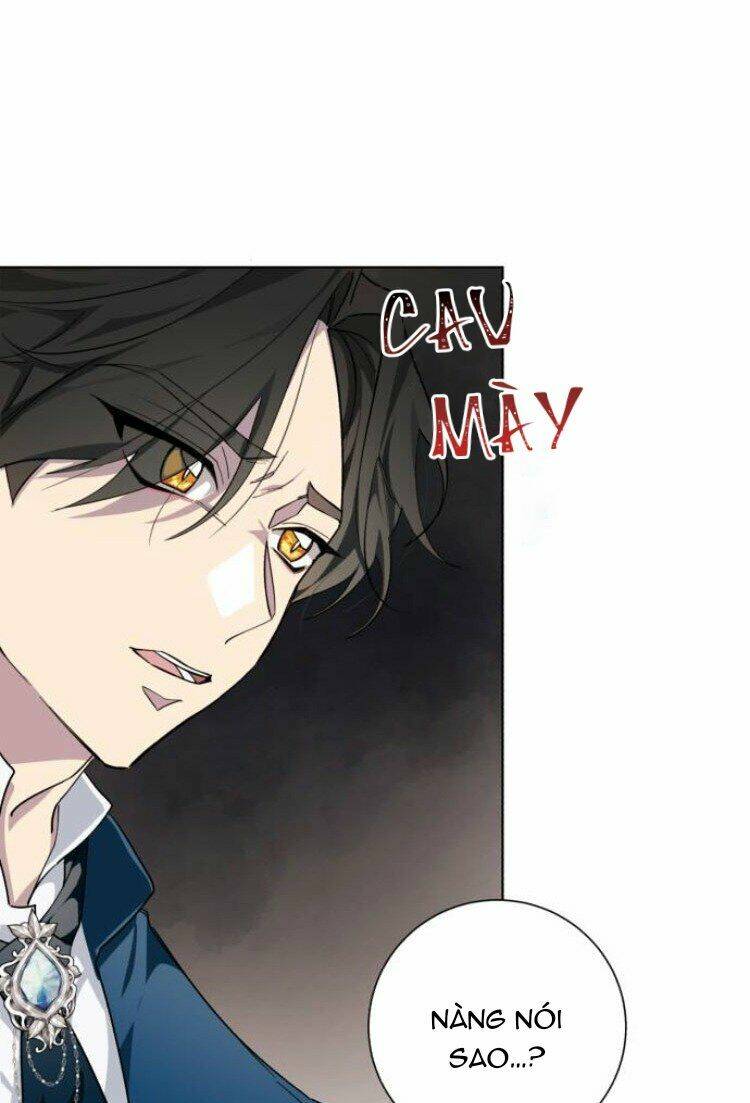 ta đã từng mong nàng biến mất chapter 21 68