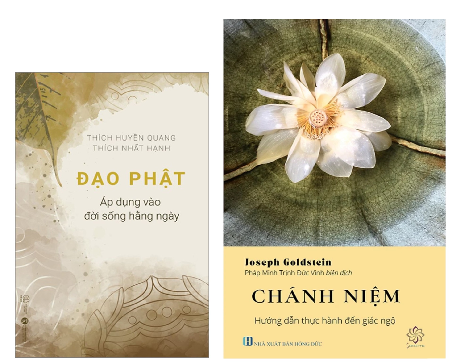 Đạo Phật áp dụng vào đời sống hàng ngày + Chánh Niệm hướng dẫn thực hành đến giác ngộ