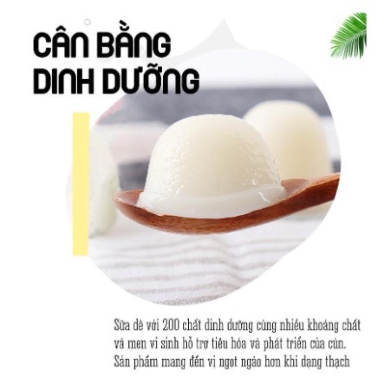 Pudding Sữa Dê Cho Chó Bổ Sung Canxi Thơm Ngon - Đồ ăn cho chó