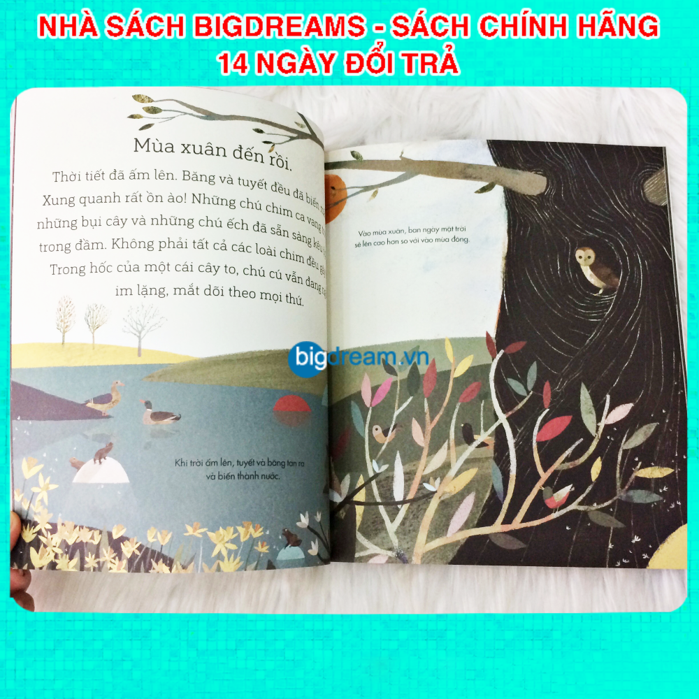 Một năm bận rộn của các bạn Sóc A Science storybook about the Seasons Truyện kể cho bé trước giờ đi ngủ Phát triển tư duy cho trẻ