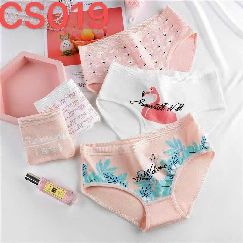 COMBO 10 QUẦN LÓT COTTON CỰC XINH LUN Ạ