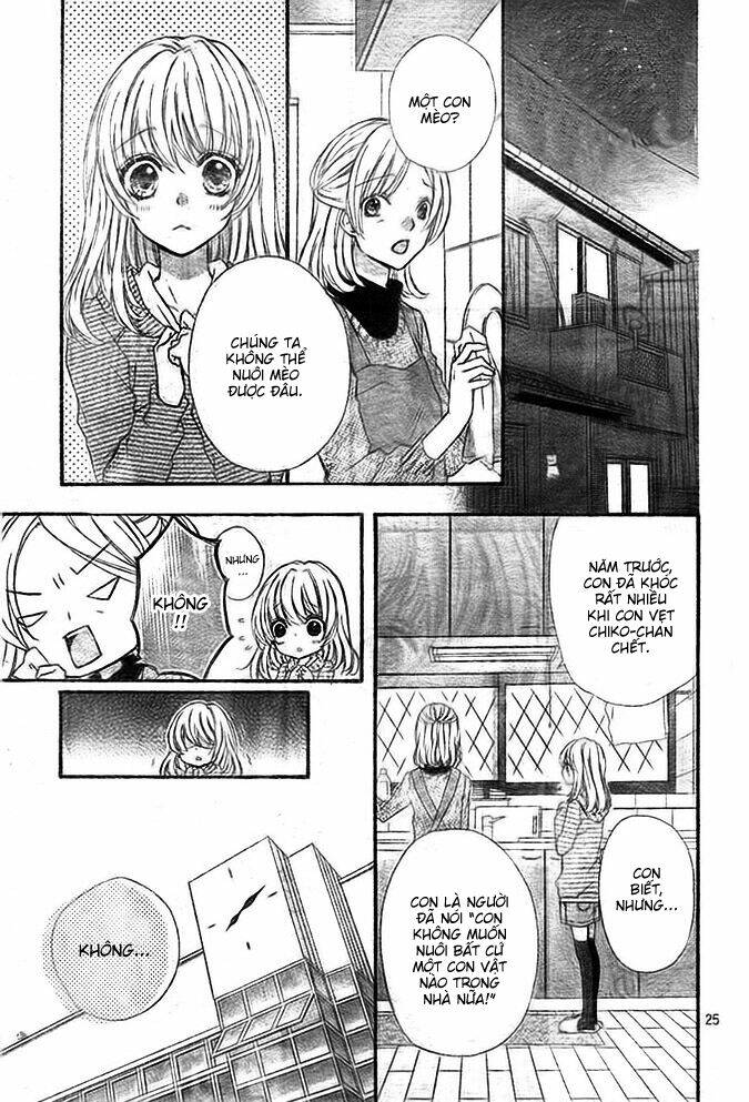 tình yêu của hiyo chapter 4 26