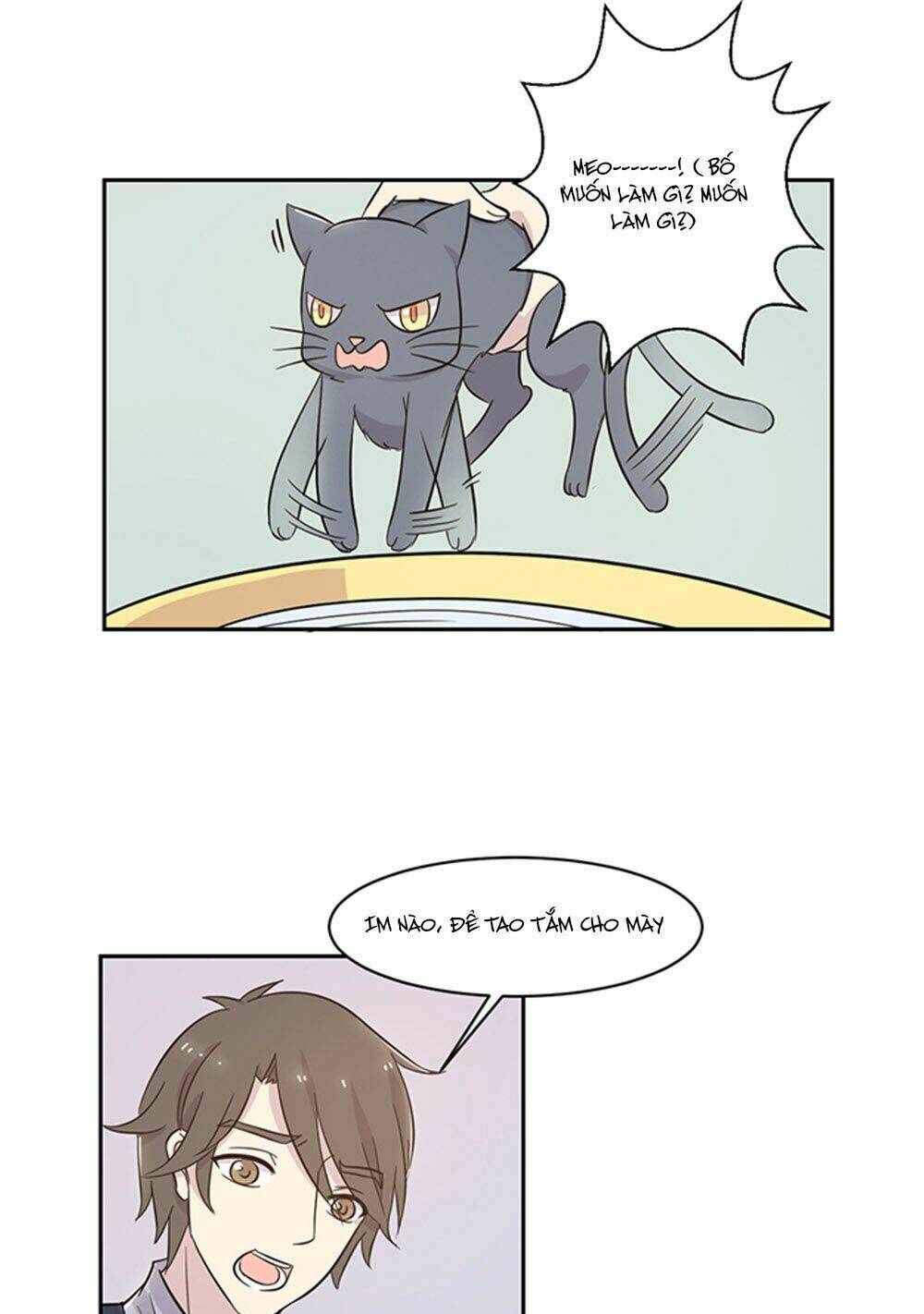 hai chú mèo totem chapter 17 10