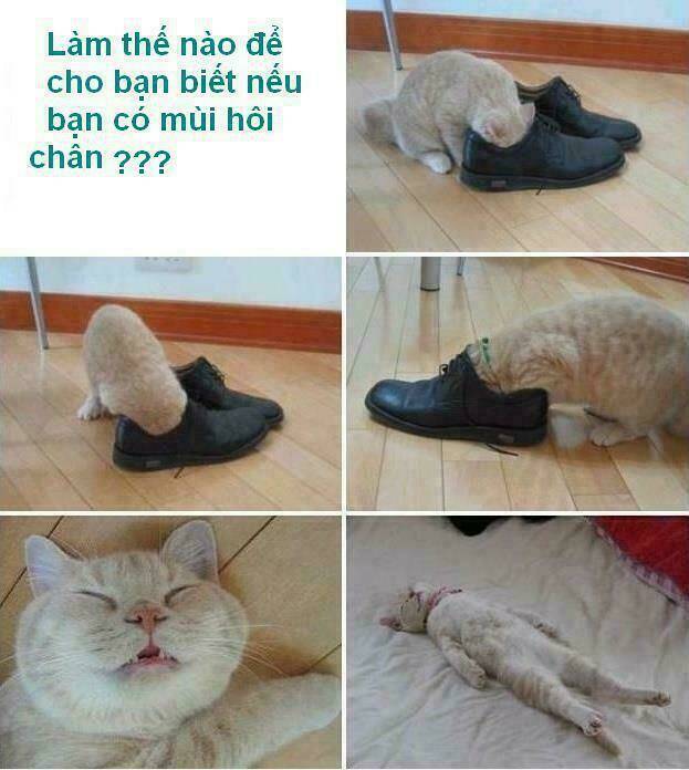 rage comic-troll chapter 71 6