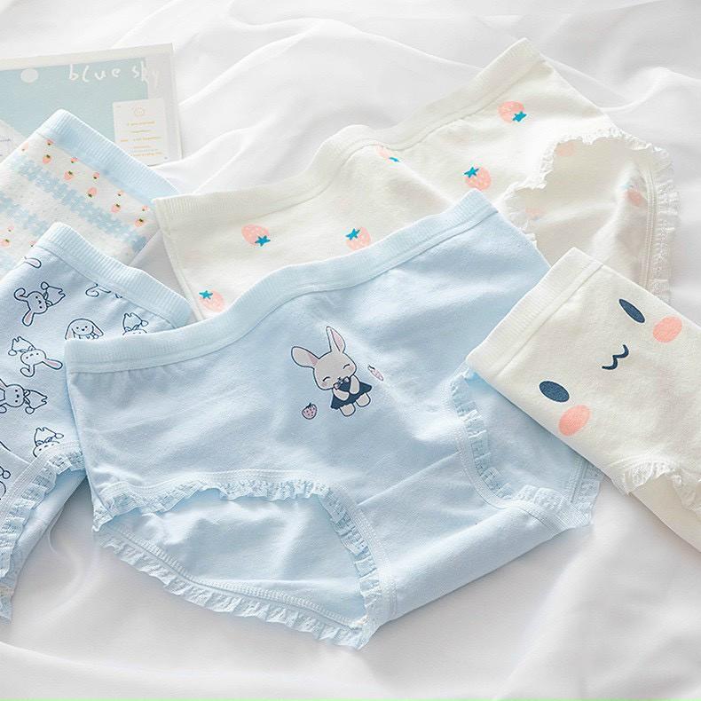 Set 5 Quần Lót Nữ Cotton Thỏ Xanh Thương Kháng Khuẩn Min_ Set 5 Quần Lót Cotton Họa tiết cute