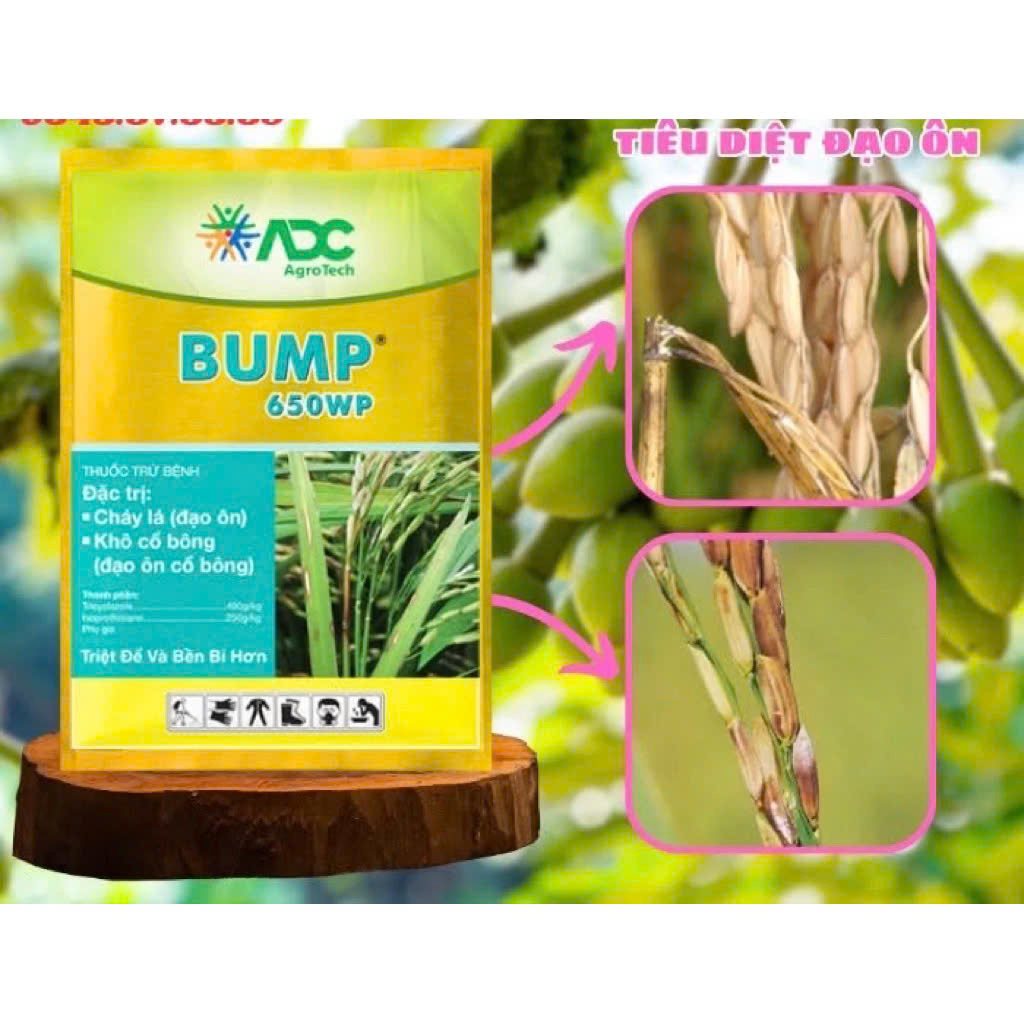 Trừ bệnh BUMP 650WP gói 25g quản lý đạo ôn lá, cổ bông Chính Hãng ADC