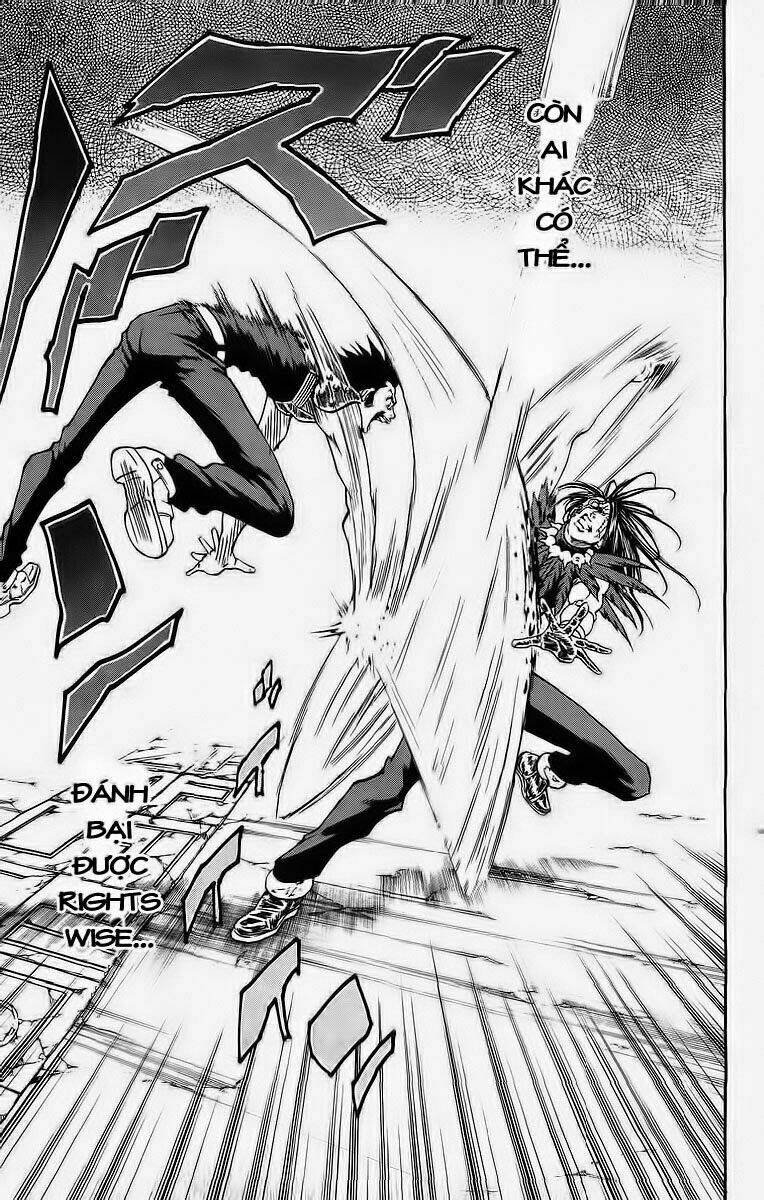 vua trên biển chapter 242 10