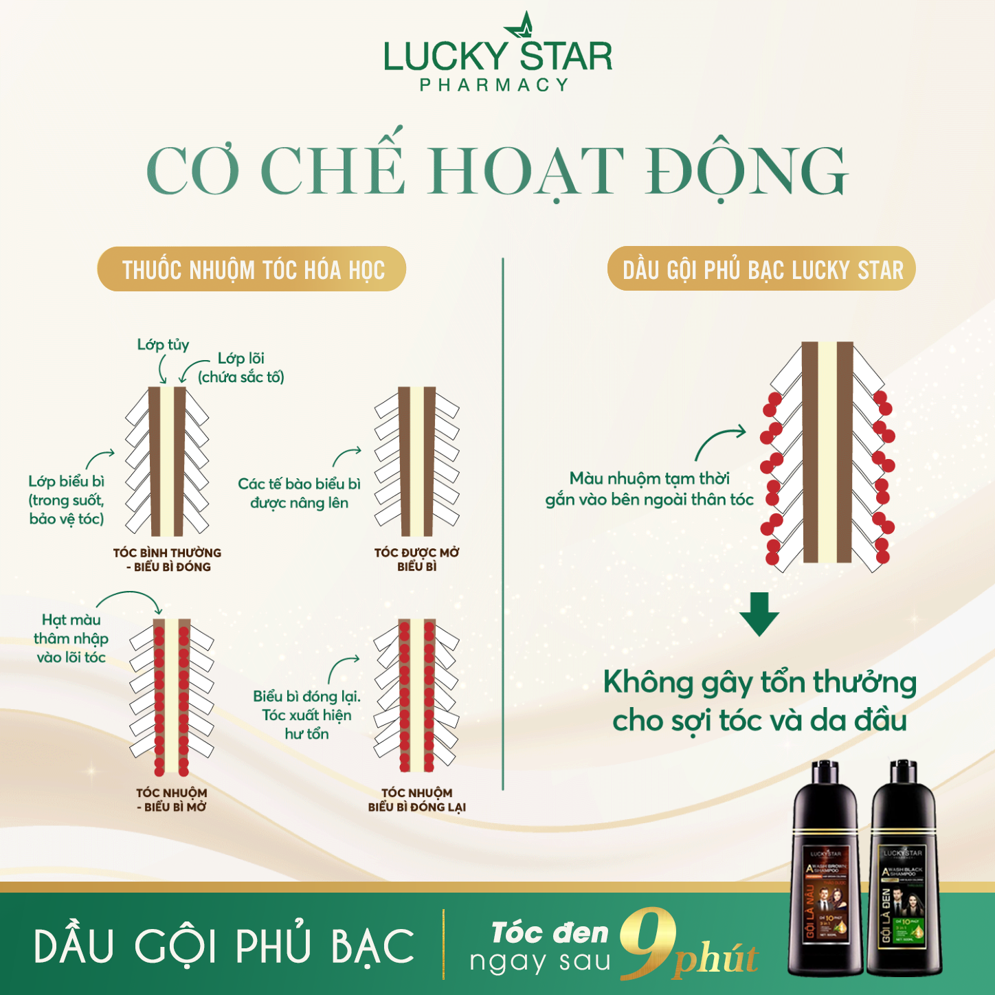 Dầu gội phủ bạc thảo dược cao cấp. Gội là đen LUCKY STAR chiết xuất nhân sâm và thảo mộc tự nhiên. Dầu gội nhuộm tóc giúp tóc đen tự nhiên, khỏe mạnh. Dầu gội đen tóc trong 10 phút ngay tại nhà, phiên bản mới có lược