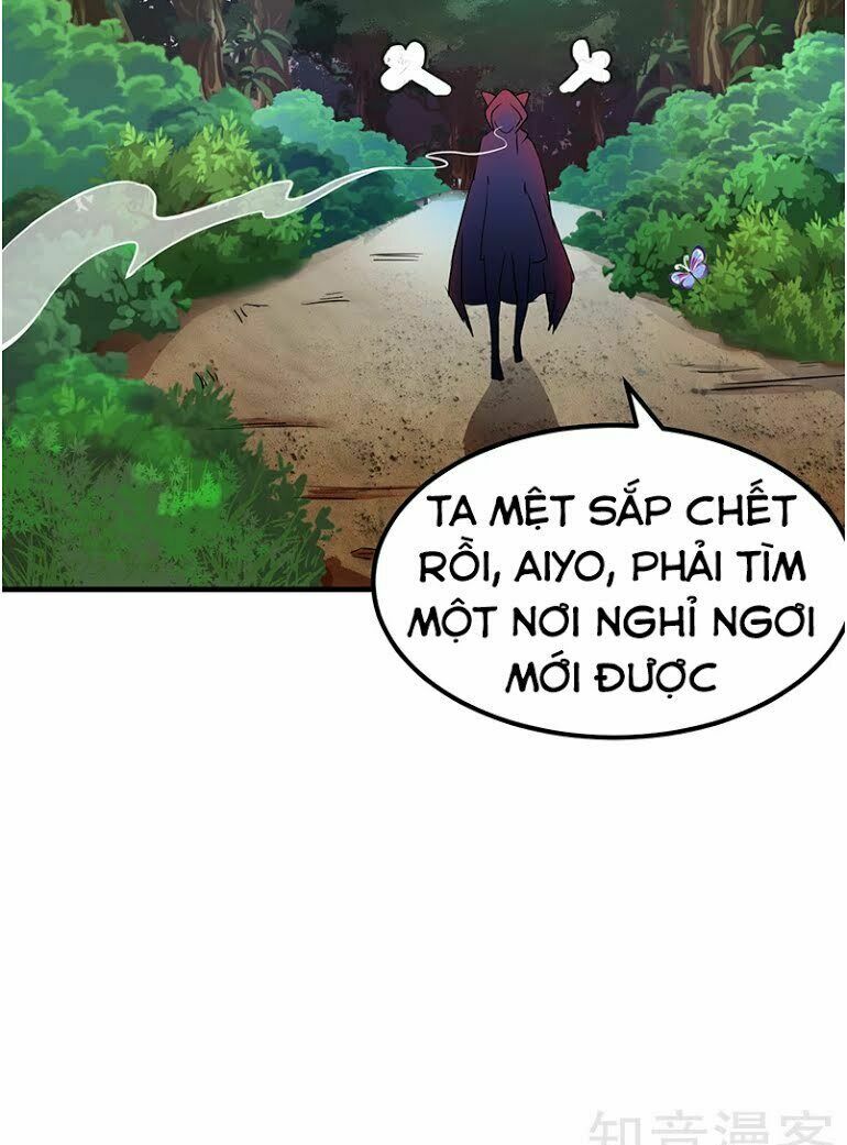 võ đạo độc tôn chapter 7 31