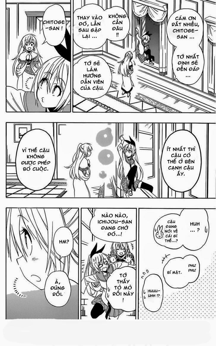 nisekoi - tình yêu giả tạo chapter 139 8