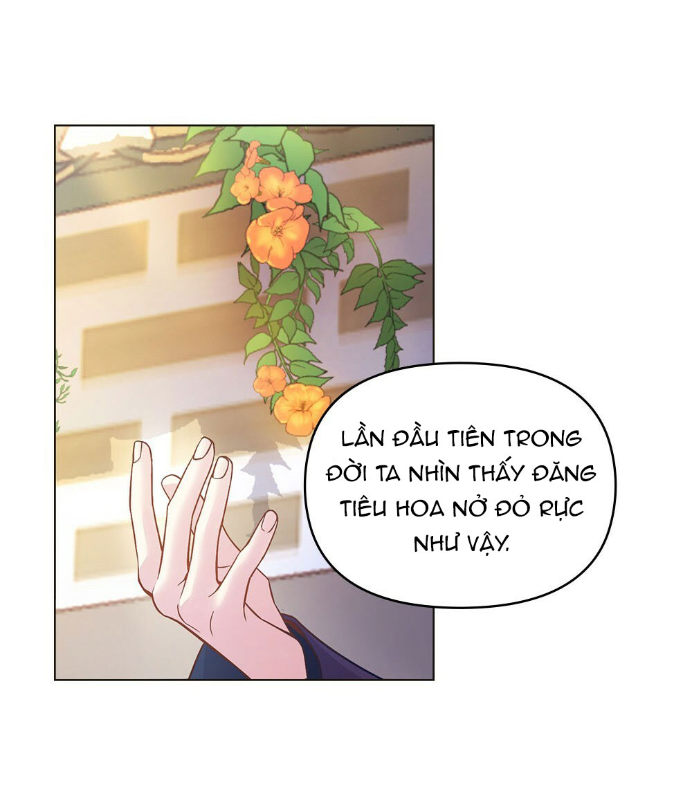 đăng tiêu hoa chapter 3 2