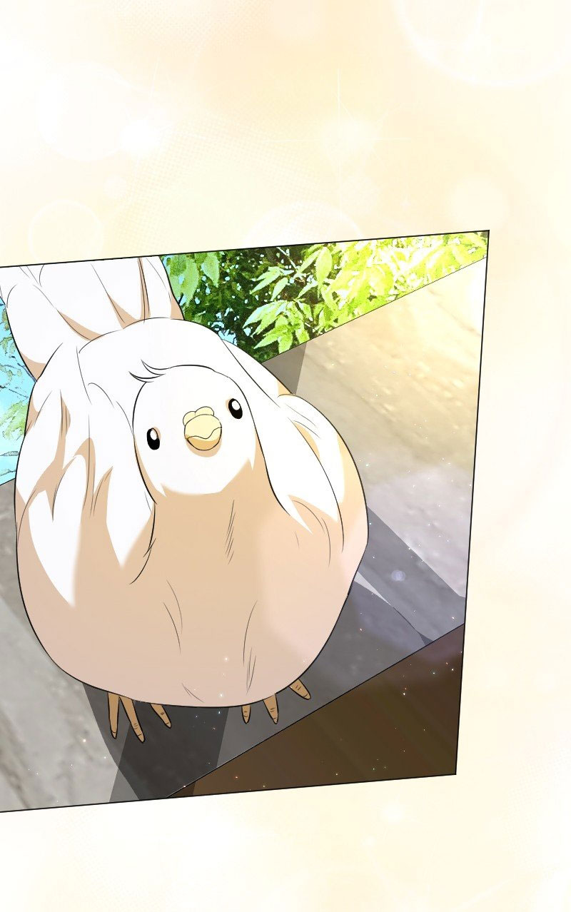 ngã rẽ định mệnh chapter 16.2 12