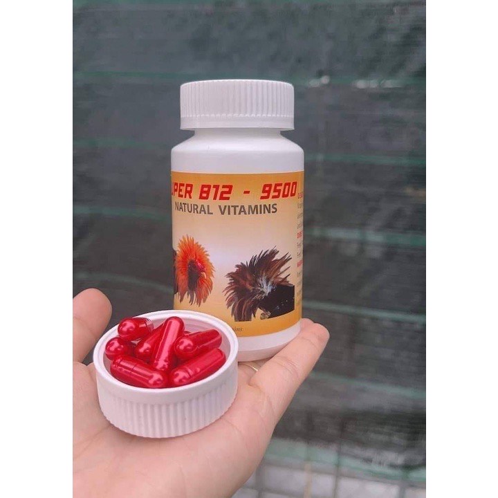 B12_9500 cho gà đá, Gom bo tuần cuối lọ 100viên