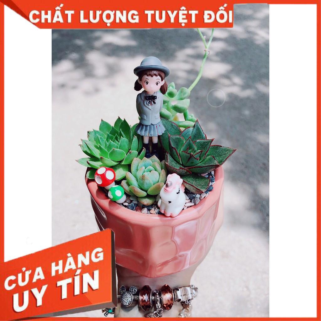 Chậu sen đá mix tiểu cảnh 01