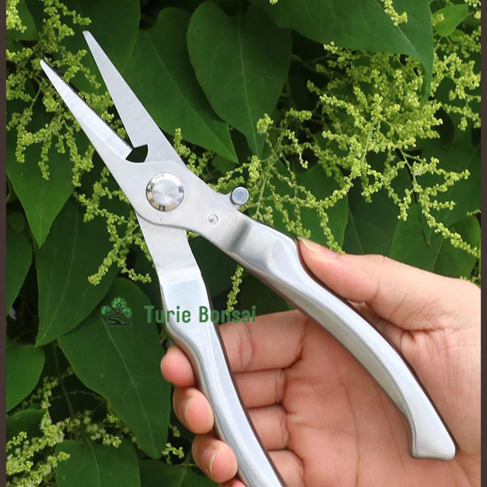 Kéo cắt cành thép đúc trắng nguyên khối siêu sắc Nhật Bản