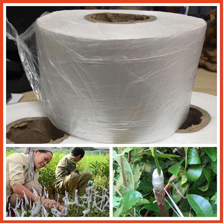 Băng ghép cây tự hủy mỏng và dẻo dai 120m