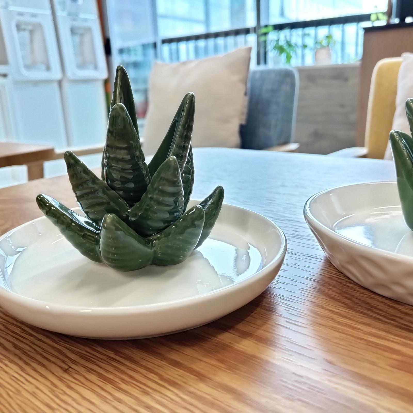Ceramic Aloe Jewelry Holder Tray Earrings Organizer Decor Gift