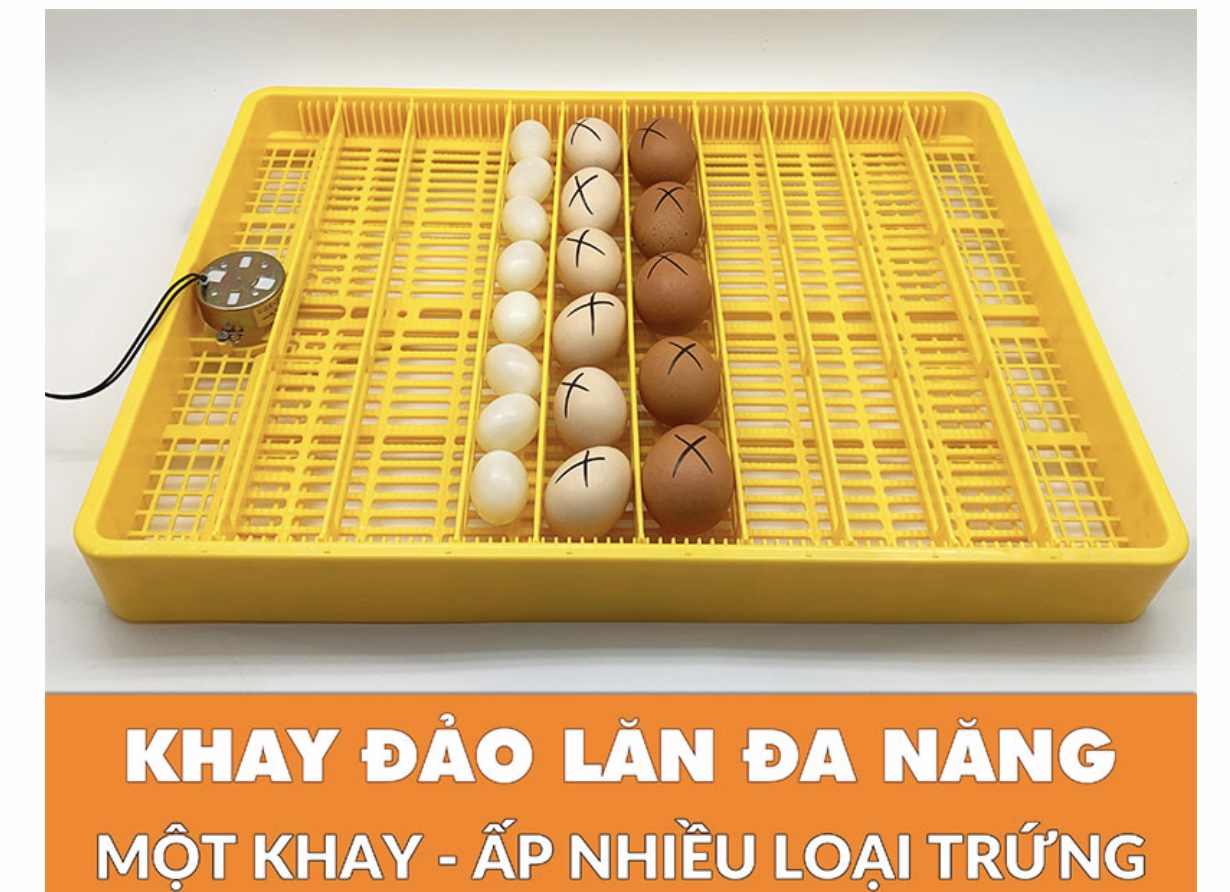 MÁY ẤP 108 TRỨNG-KHAY ĐẢO LĂN-TỰ ĐỘNG ĐẢO-LẮP GIÁP SẴN