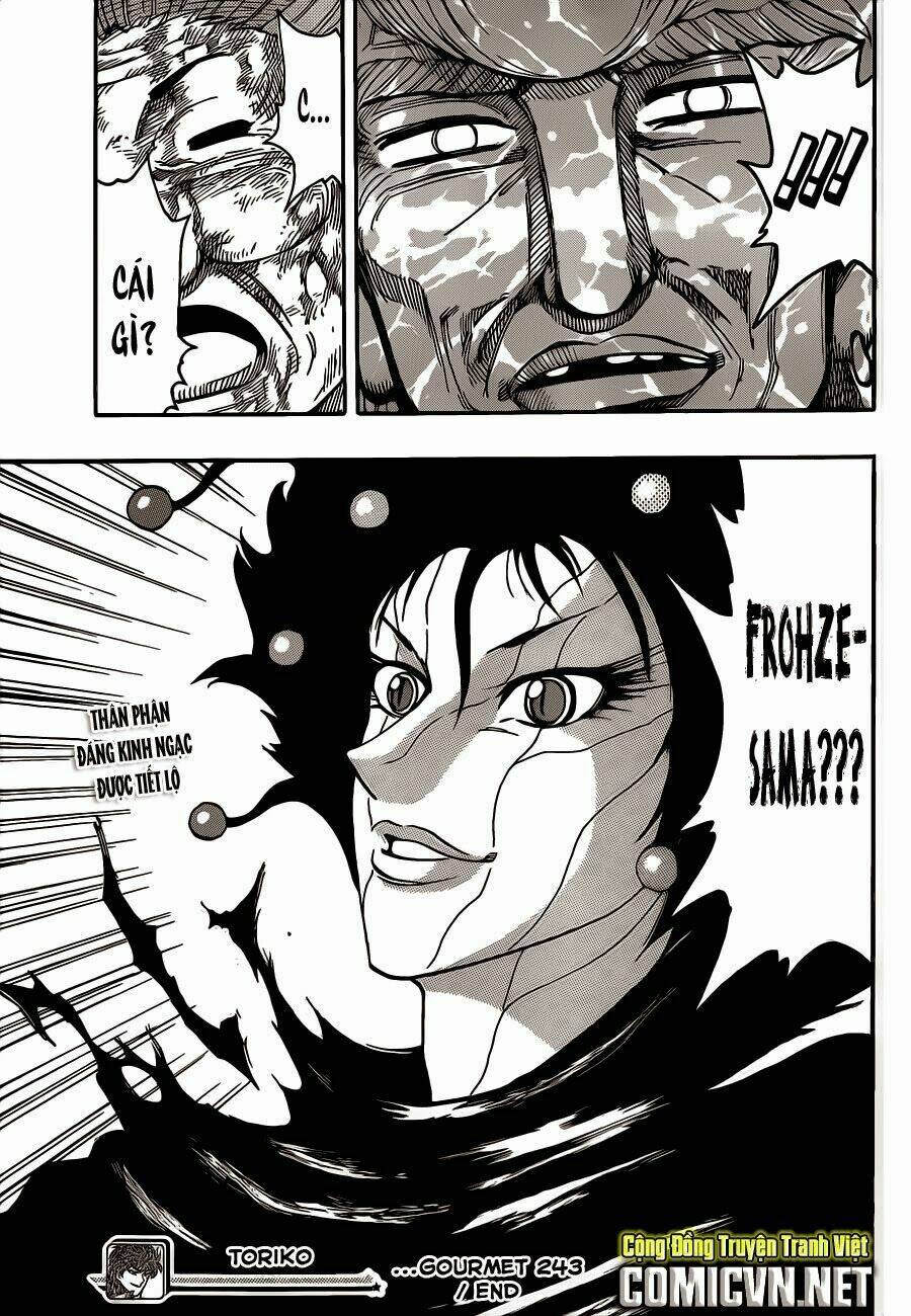 thợ săn ẩm thực chapter 243 17