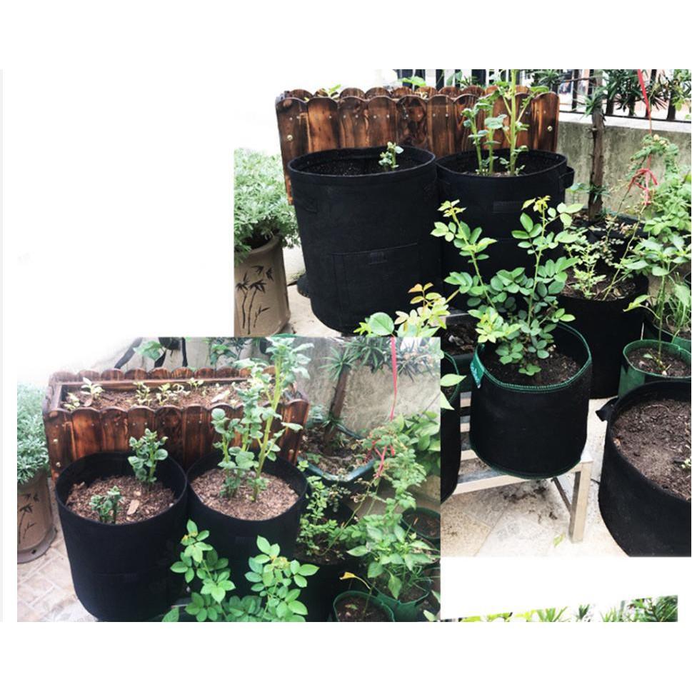 GROW GREEN BAG Chậu trồng cây, khoai củ vì môi trường 30x35cm  - Home and Garden