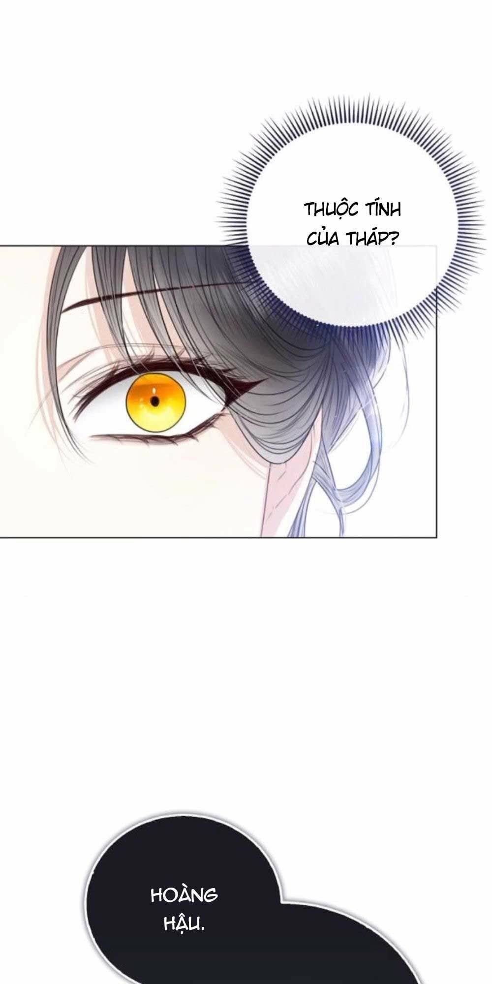 tôi sẽ từ bỏ vị trí hoàng hậu chapter 36 77