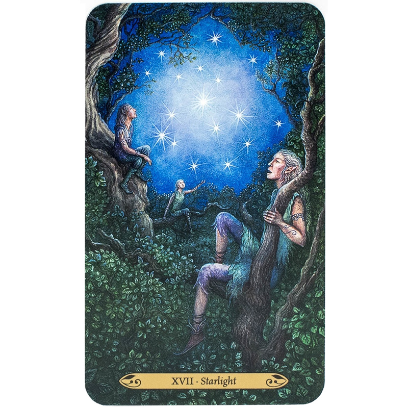 Bộ Bài  Bói Forest of Enchantment Tarot Đẹp New