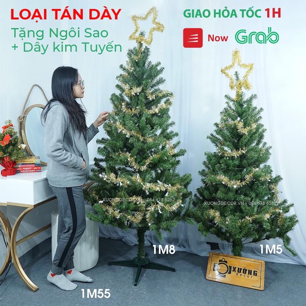 Cây Thông Noel Tán Dày Cao 2m1/1m8/1m5, 2 Loại Lá, Xanh Đầu Tròn, Hàng Loại Đẹp Tặng Kèm Phụ Kiện