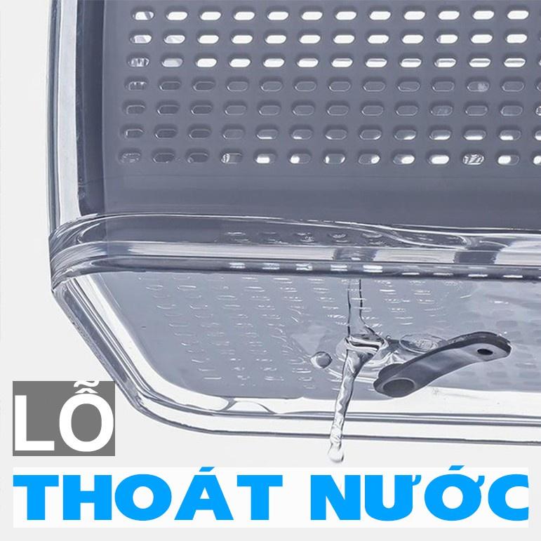 Hộp Đựng Thực Phẩm Tủ Lạnh 2 Lớp Có Lỗ Thoát Nước, Có Khóa Thoát Khí, Dễ Dàng Bảo Quản Rau Củ - Giao Màu Ngẫu Nhiên - Hàng Chất Lượng