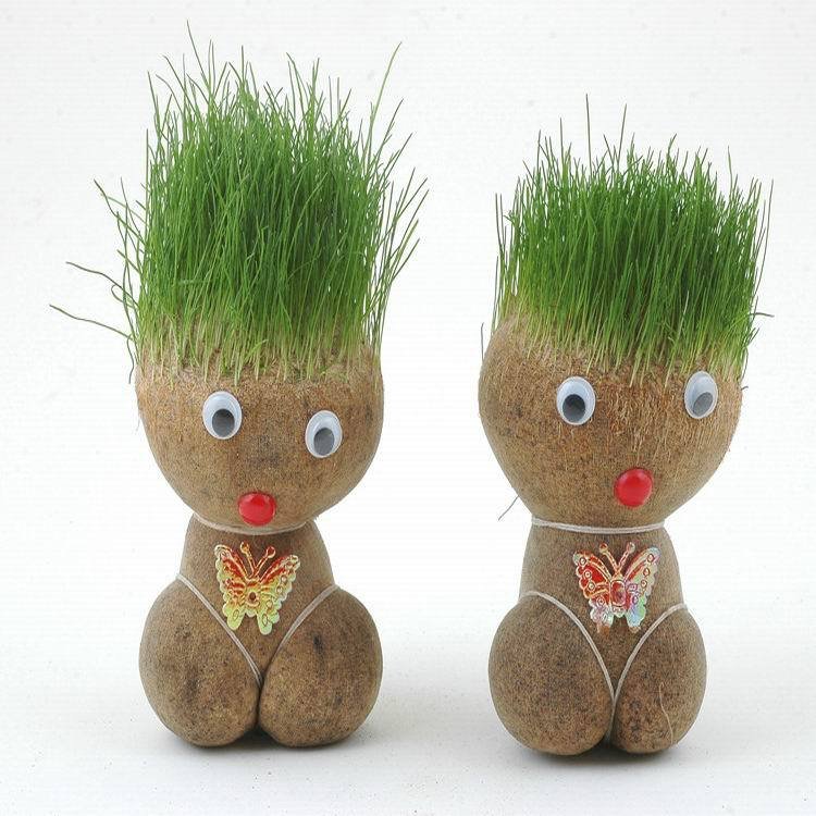 Búp bê đầu cỏ mọc tóc mini dễ thương trồng cây cỏ trang trí phòng học bàn làm việc tạo sự may mắn