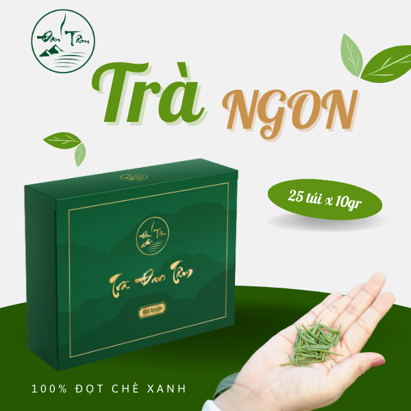 Trà Đan Tâm - Trà Đinh Tân Cương Thơm ngon đầy thi vị trong mỗi lý trà ,Món quà ý nghĩa thượng hạng trứ danh đất trà Tân Cương
