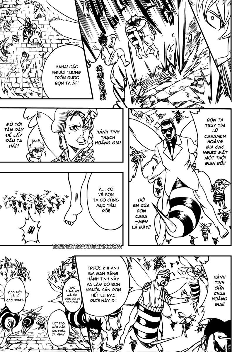 gintama - linh hồn bạc chapter 269 17