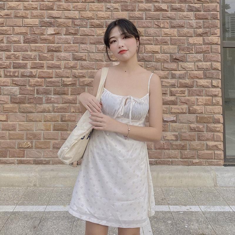 ĐẦM HAI DÂY HOA NHÍ