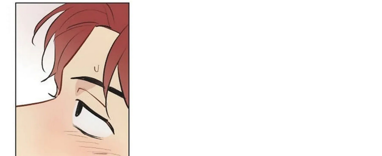 chuyện quái gì với giấc mơ đó vậy chapter 1 16