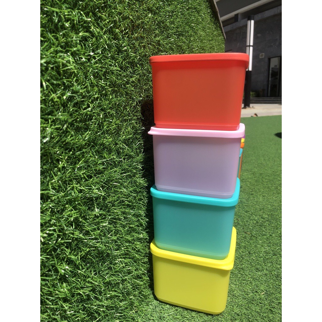 Bộ Hộp Tupperware Bảo Quản Thực Phẩm Ngăn Mát Medium Square Round 1L (04 Hộp)