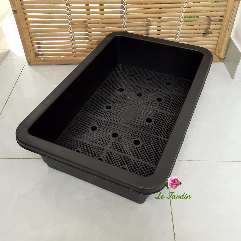 Khay trồng rau thông minh nhựa dày loại tốt 65x42x16cm