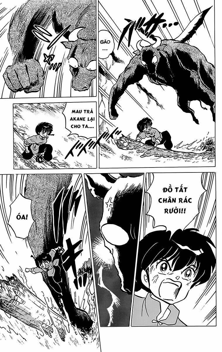 suối lời nguyền chapter 183 4