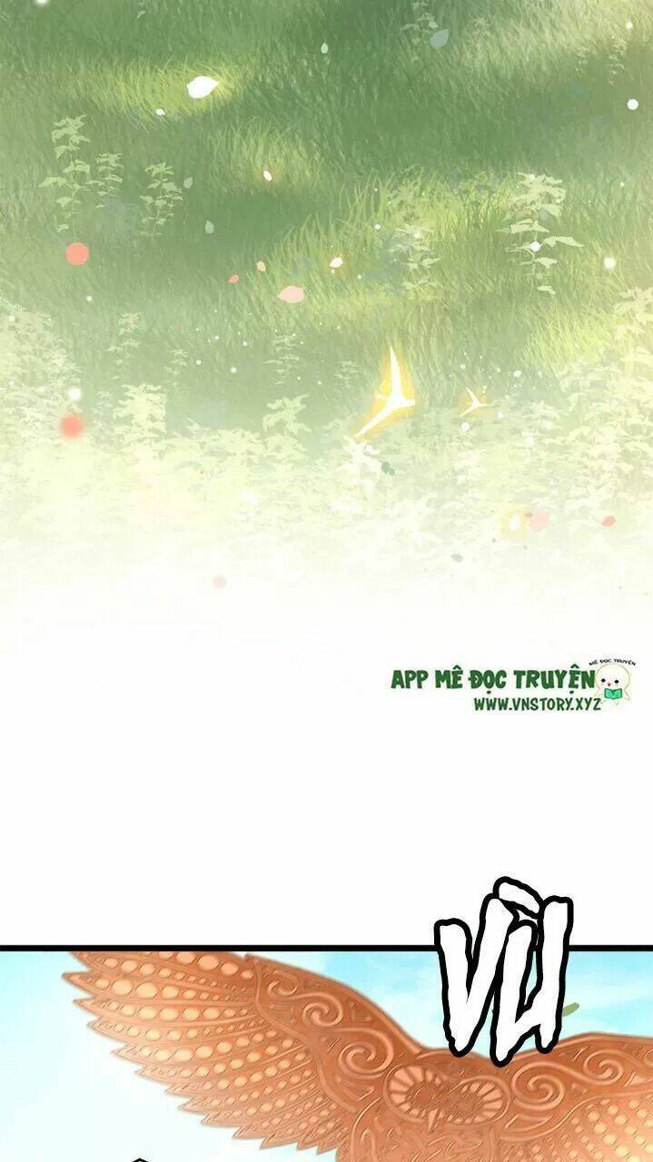 phượng hoàng vu phi chapter 49 11