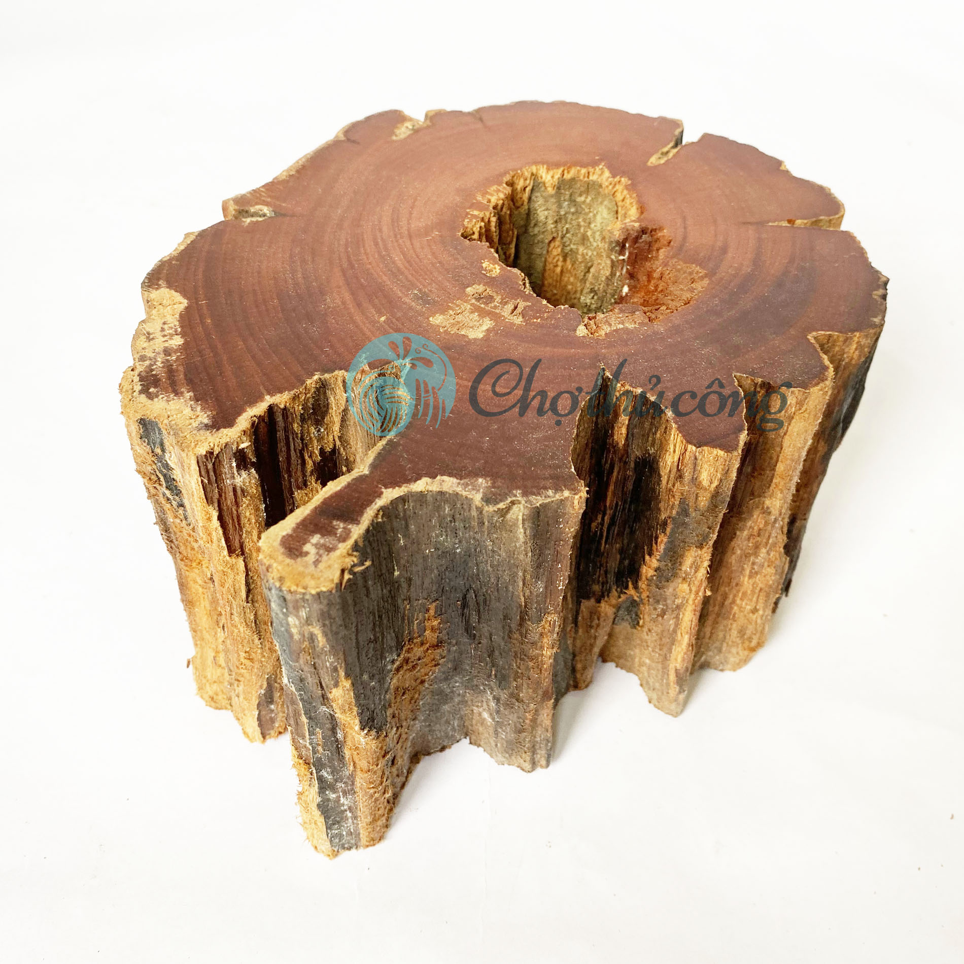Đôn gỗ kê tượng phật, đôn để chậu cây - Ghế đôn gỗ lũa, kệ gỗ để tượng decor, khoanh gỗ tự nhiên (phát mẫu ngẫu nhiên)