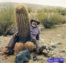 hình ảnh hài hước new chapter 4 20