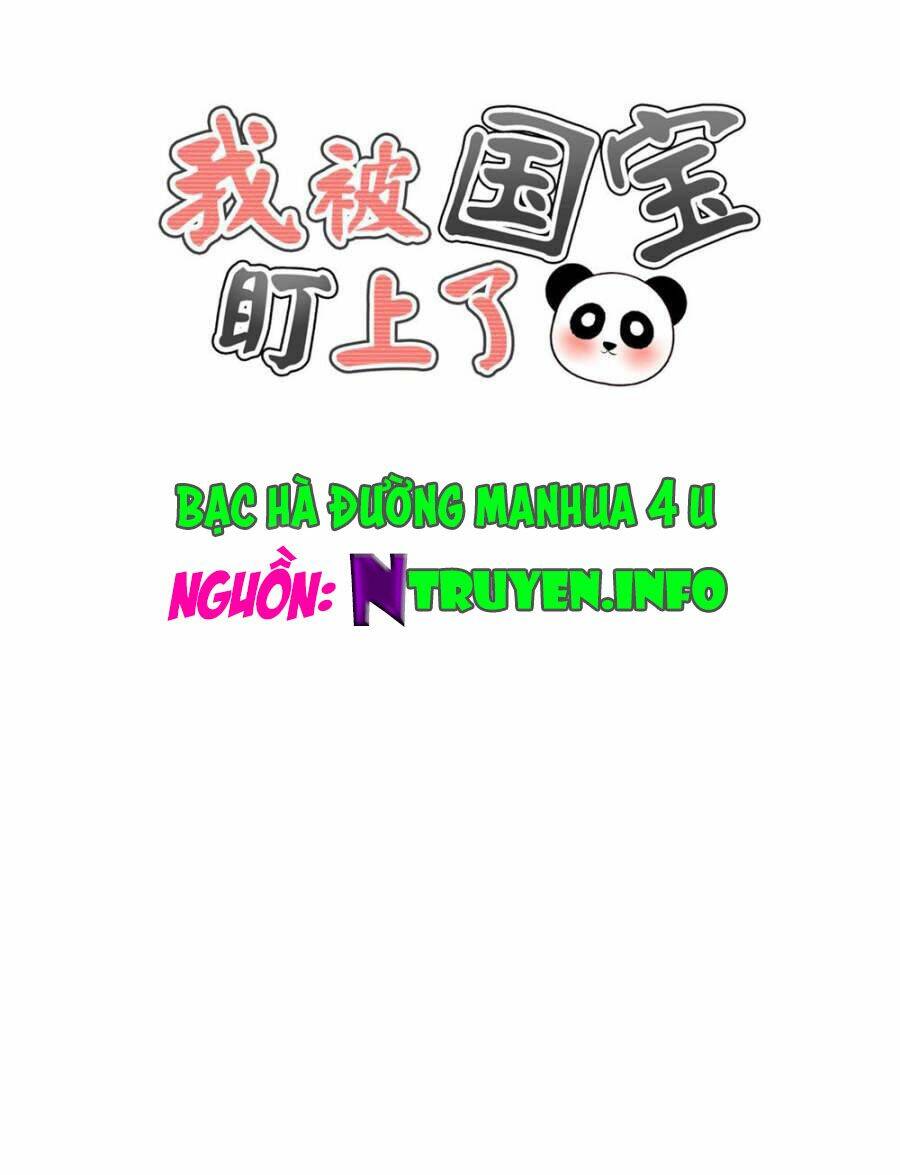 tôi bị gấu trúc nhìn trúng rồi chapter 9 1