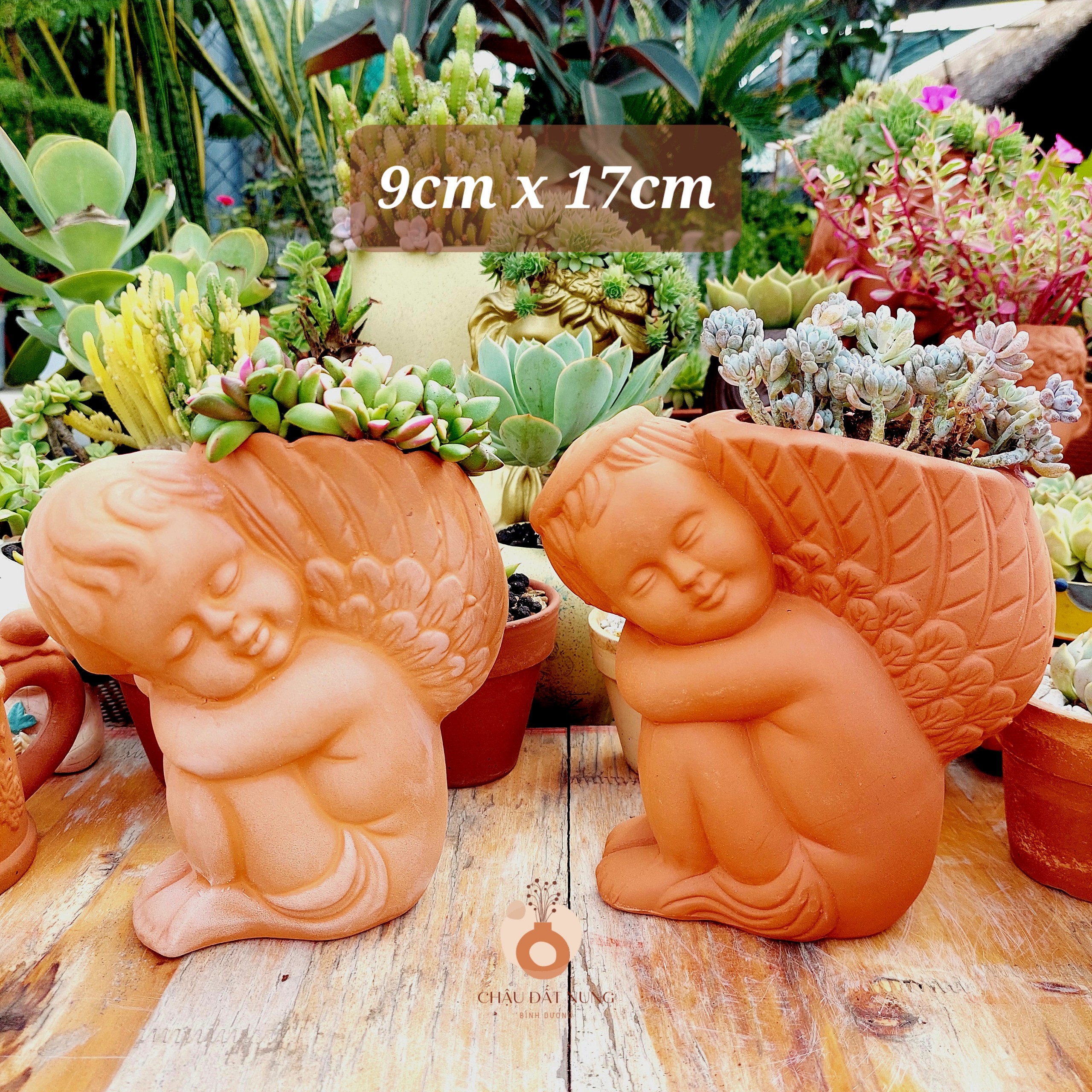 Chậu đất nung Bình Dương - Thiên thần 917, miệng chậu 9cm, chiều cao 17cm