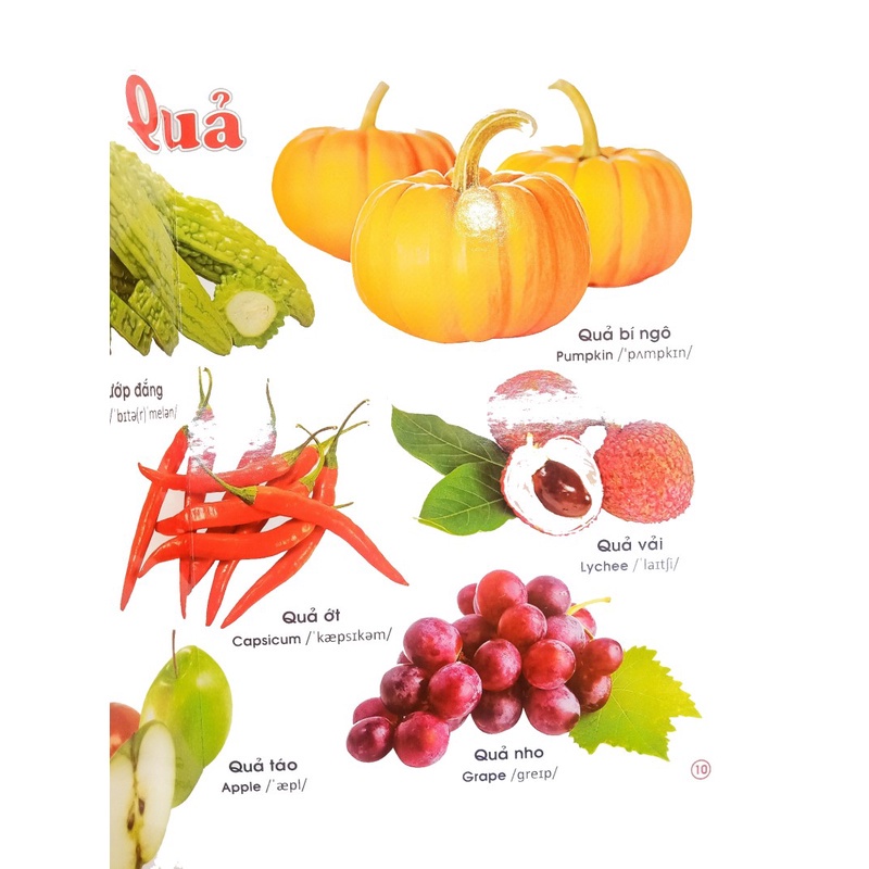 Sách - Combo 2 cuốn Từ Điển Tranh Song ngữ Anh Việt - ndbooks