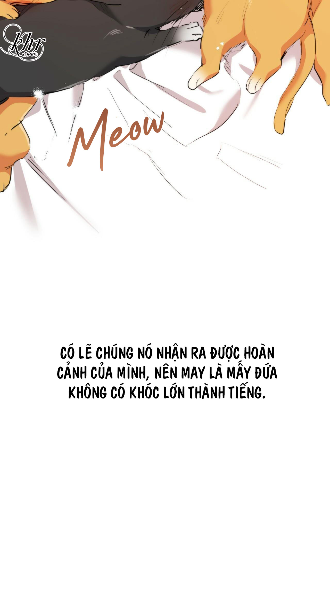 NHỮNG CHÚ THỎ CỦA HAPYPY chapter 32