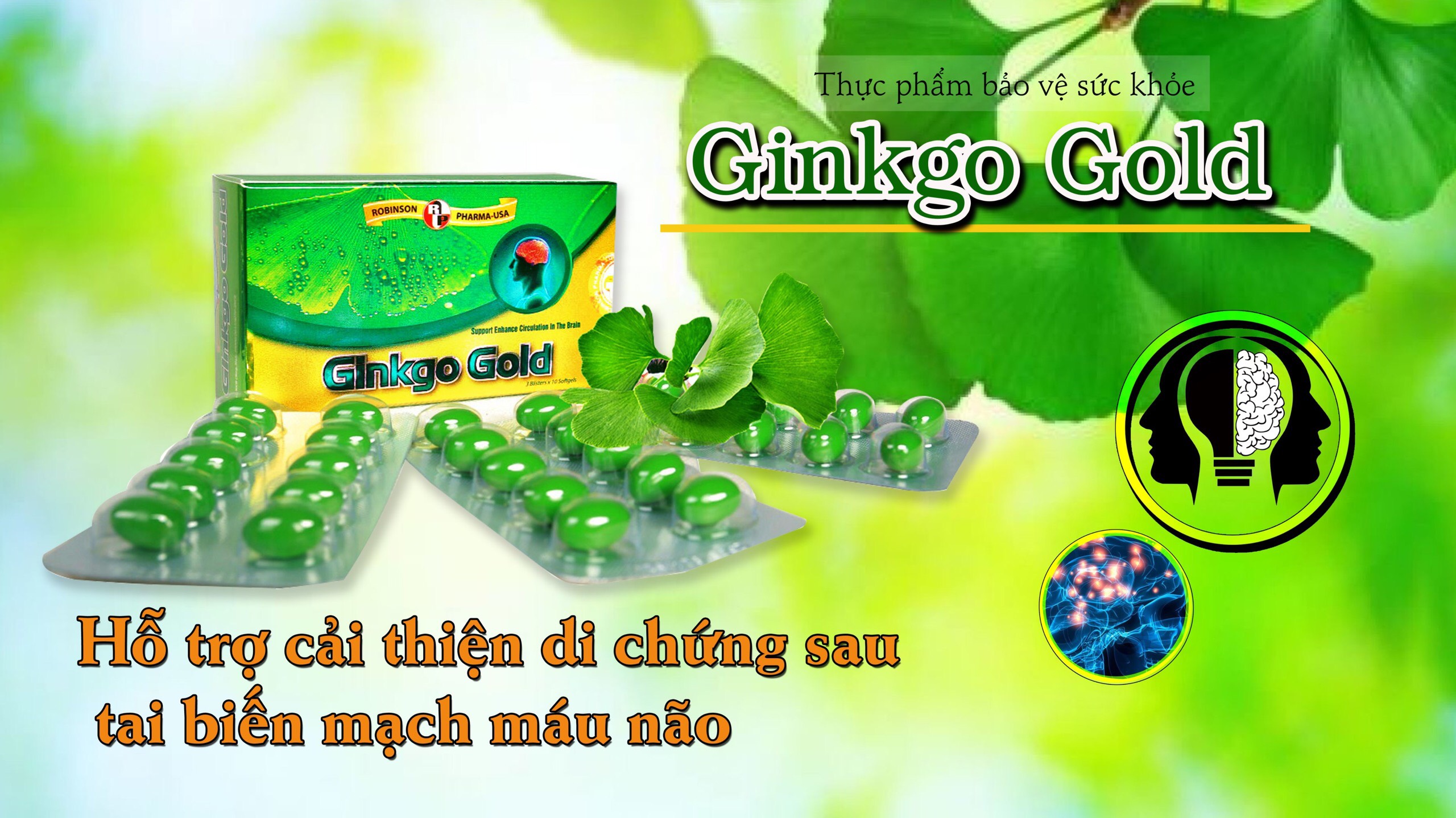 TPCN tăng cường tuần hoàn máu não, giảm nguy cơ lão hóa – GINKGO GOLD – Robinson Pharma USA