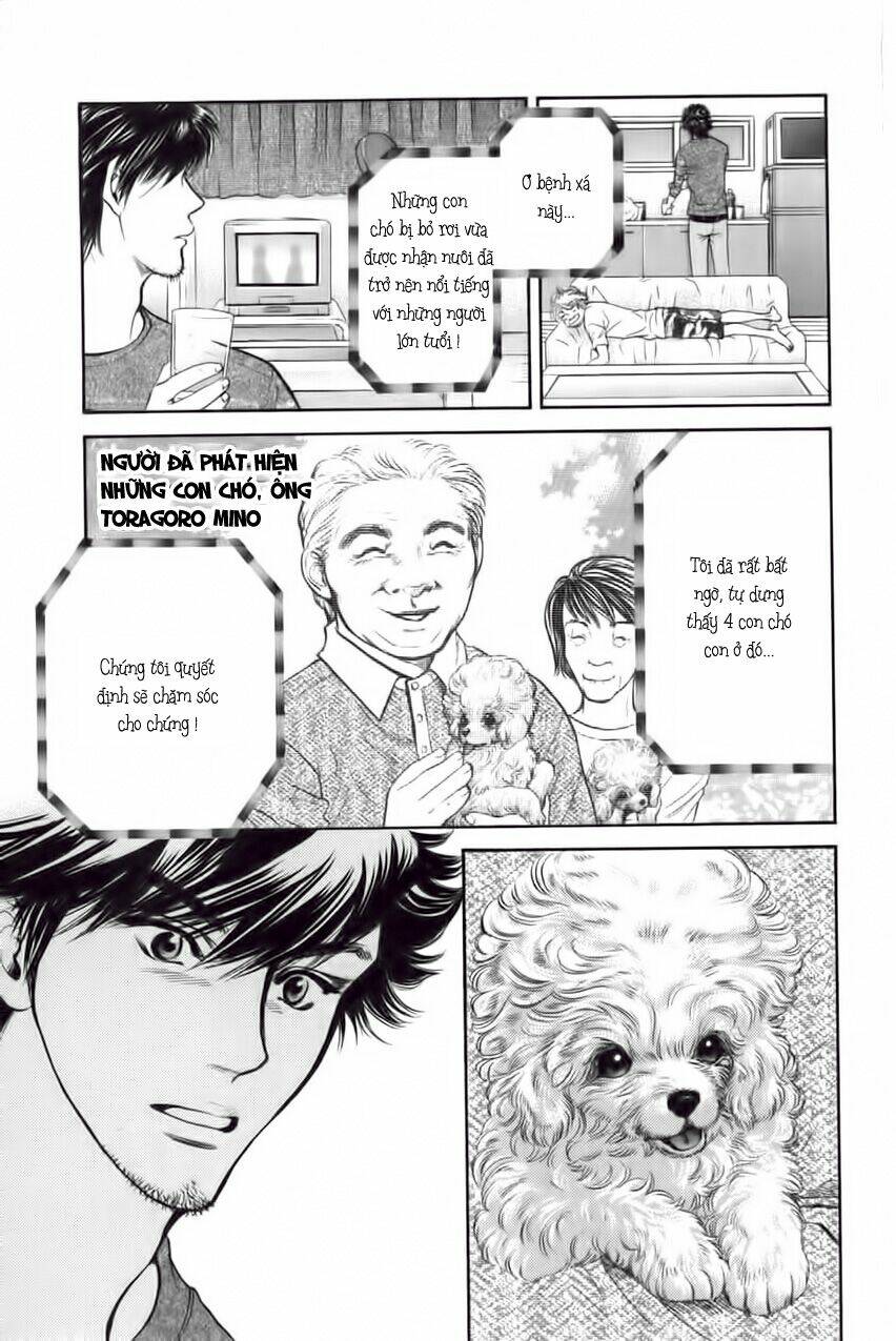 cô nàng yêu chó chapter 29 17