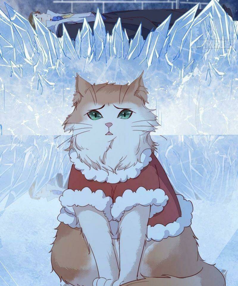 sát thủ vương phi không dễ chọc chapter 40 32