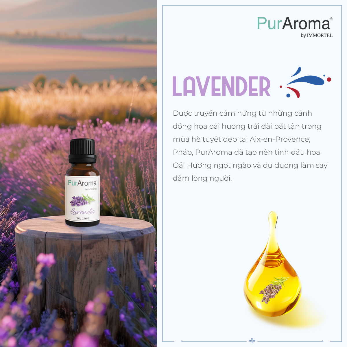 (BST Bastille) Tinh Dầu Thiên Nhiên Đậm Đặc - 10mL - Mua 2 Tặng 1 - Chính hãng Pháp