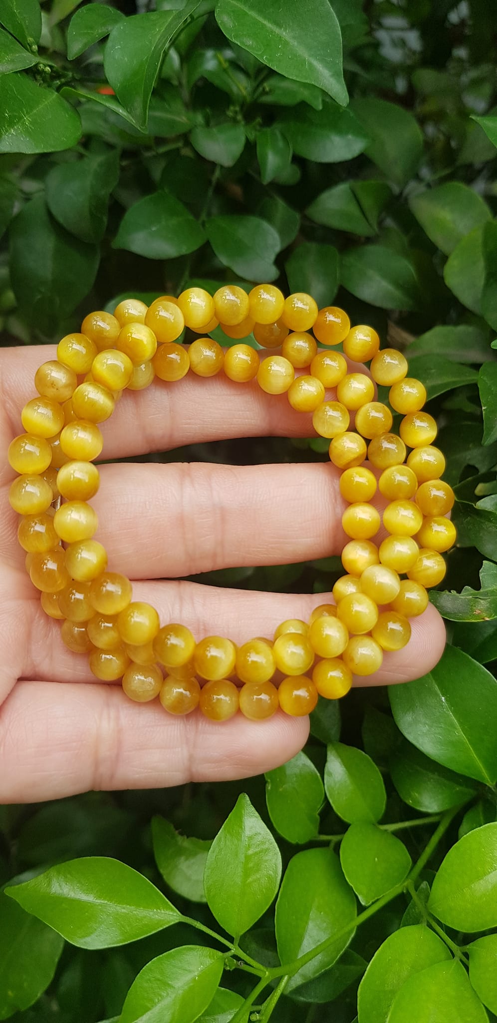 Vòng tay nữ đá mắt hổ tự nhiên vàng anh vip 6mm quấn tay 3 vòng đẹp vòng màu vàng anh tươi đẹp hợp nữ mệnh kim mệnh thổ mệnh thuỷ đeo tay may mắn xinh đẹp sang tay ạ
