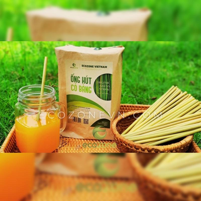 Thùng 3000 ống hút cỏ bàng khô Ecozone cao cấp tiết kiệm - Grass Straws - Hàng xuất khẩu